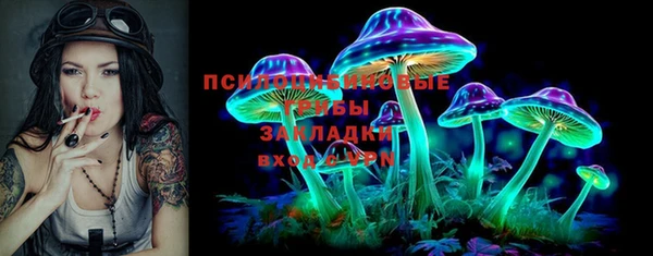 PSILOCYBIN Горняк