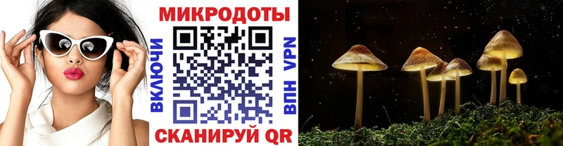 где найти   Бирюч  Галлюциногенные грибы GOLDEN TEACHER 